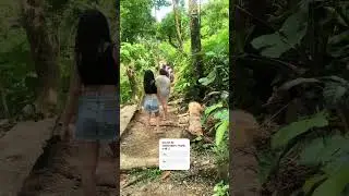 Caunayan viewing deck camping area #naturelovers #baleraurora #campinglife #familytime #camping