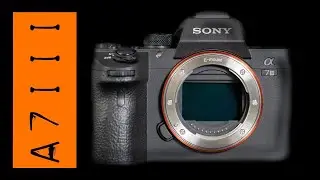 Sony A7iii Review - Still the BEST Value for Money Camera in 2020