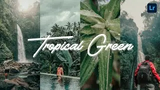 Tropical Green - Lightroom Mobile Preset | Travel Preset | Tropical Preset | Moody Green Preset