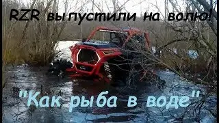 Polaris RZR - Зверь в своей стихии..