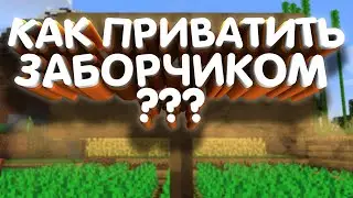 Как приватить заборчиком на сервере Minecraft