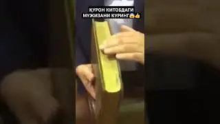 МАШААЛЛАХ ҚУРОН МУЖИСИНИ КУРИНГ‼️