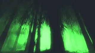Creepy Foggy Green Forest Halloween Loop 4K Motion Background Wallpaper Screen Saver