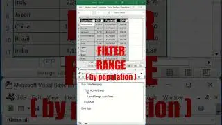 Filter Range with Excel VBA #shorts