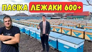 Михайло Томєв  🐝 Пасіка на лежаках 600+ 🐝 Прямий Ефір 11.02.2024