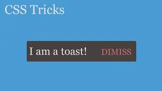 CSS Toast in 30 mins