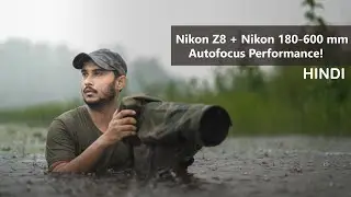 Nikon Z8 Autofocus test with Nikon 180-600 mm Lens | Nikon Z8 Bird Eye AF Review , Nikon Z9 , Z6 II