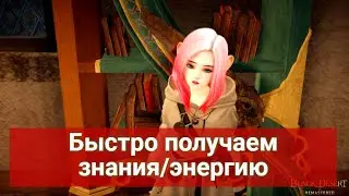 Как быстро получить знания/энергию  Black Desert/Блек Дезерт