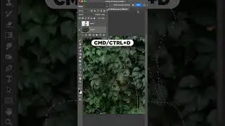 How Do You Blur Background in Photoshop?