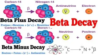 Beta Decay (Types of Beta Decay) 