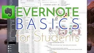 How to Use Evernote | Basics for Students