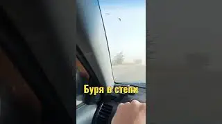 БУРЯ В СТЕПИ. Калмыкия