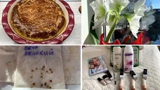ВЛОГ/ЗАКАЗ ФАБЕРЛИК/ПРОДОЛЖАЮ САЖАТЬ РАССАДУ/ЧТО ГОТОВЛЮ ИЗ СЛОЕНОГО ТЕСТА