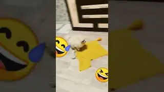 доброе утро