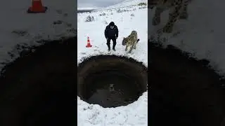 Mother Snow Leopard Saves Her Cub with the Help of an Old Guy! #animals #rescueanimals #humanity