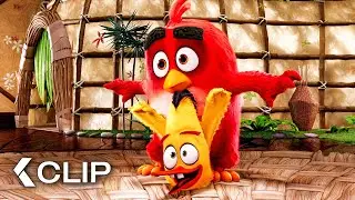 Anger Management Classmates Scene - THE ANGRY BIRDS MOVIE (2016)