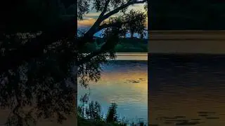 #андрейординарцев #природапрекрасна #природароссии  Природа курской области.