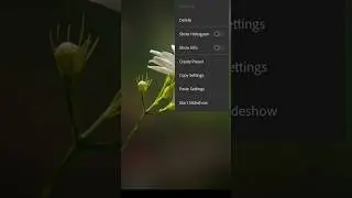 Lightroom Copy paste editing tutorial 😍