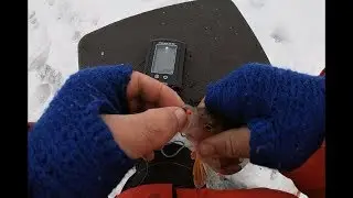 Ловля окуня с эхолотом ПРАКТИК!