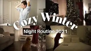 COZY POST WORK WINTER NIGHT ROUTINE 2021 | With A Puppy, Christmas Movies, Cozy Meal + Self Care