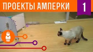Фотобудка для кота. Проекты Амперки #1