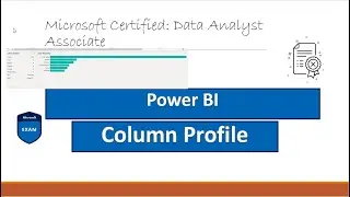 Column Profile Power BI