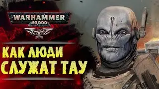Как живется людям на службе у Тау? Как их используют Эфирные? История Warhammer 40000
