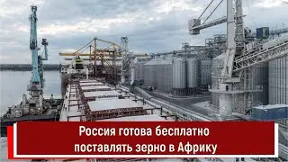 Россия готова бесплатно поставлять зерно в Африку