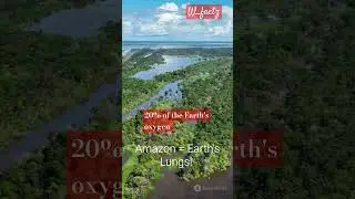 Fact about Amazon Forest and Sahara desert #ytshorts #facts #geography #didyouknow