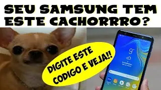 Celular SAMSUNG tem um CACHORRO escondido da raça Chihuahua