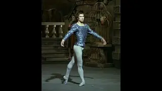 Rudolf Nureyev -  Solo from 'Swan Lake'