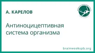 Антиноцицептивная система организма (Алексей Карелов)