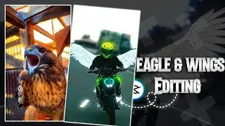 Instagram Trending Eagle Reel Editing | Eagle and Wings Video Editing | Capcut video editor Tamil |