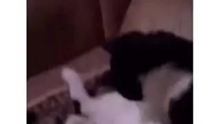 ЕСЛИ БЫ ДЕВУШКА СТАЛА ПАРНЕМ НА ОДИН ДЕНЬ!