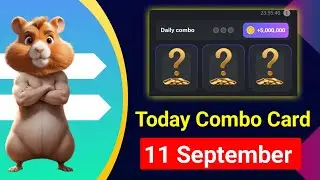 11 September daily combo card || today combo card Hamster kombat || Unlock daily combo card