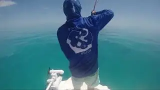 Gone adrift around the CQ