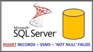 SQL Server - INSERT RECORDS INTO TABLE VIA SSMS - NOT NULL Fields