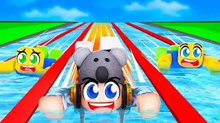 Koala VS Roblox Aqua Racer