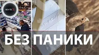 «Стрелять щаз буду» | Аппаратура упала с неба | В зону СВО передали снаряжение от Ленобласти