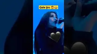 Pamaus - Qale jonli ijro. 