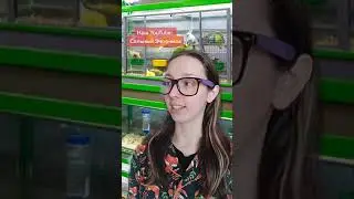 Странная покупательница зоомагазина 
