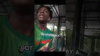 IShowSpeed Attacked By A Tiger (Caught on Camera)😳