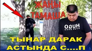 ТЫНАР ДАРАК АСТЫНА ЭМНЕ КЫЛДЫ//ЖАҢЫ ТАМАША