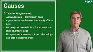 Fungal Pneumonia in Pets