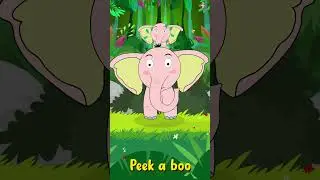 Peek A Boo | Children's Song | Peek a boo #education #animals #learning #kids