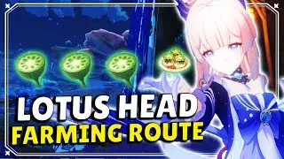 Lotus Head Farming Route [Farm for Jade Parcels]