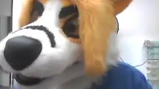 arf arf es hora de tocar barrio furry X3