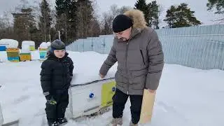 🔴 Что делать с подмором на снегу, рядом с ульями. При зимовке пчёл на воле 🔴