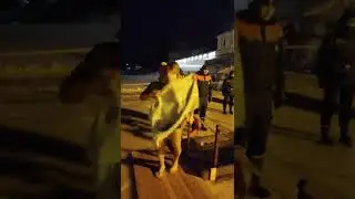Крещение 2022/купание в проруби2022/КРЕЩЕНСКИЕ МОРОЗЫ/КРЕЩЕНИЕ РУСИ2022/купание детей в проруби 2022