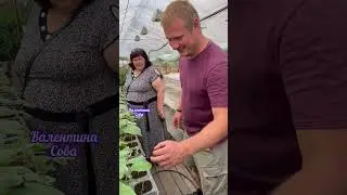 Частина 2 Екскурсія по винограднику🍇 Гарно проведений час дякую за можливість 👍